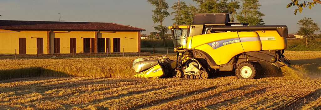 Azienda Agricola - Coltivazione riso - Cascina Bon Piumazzo